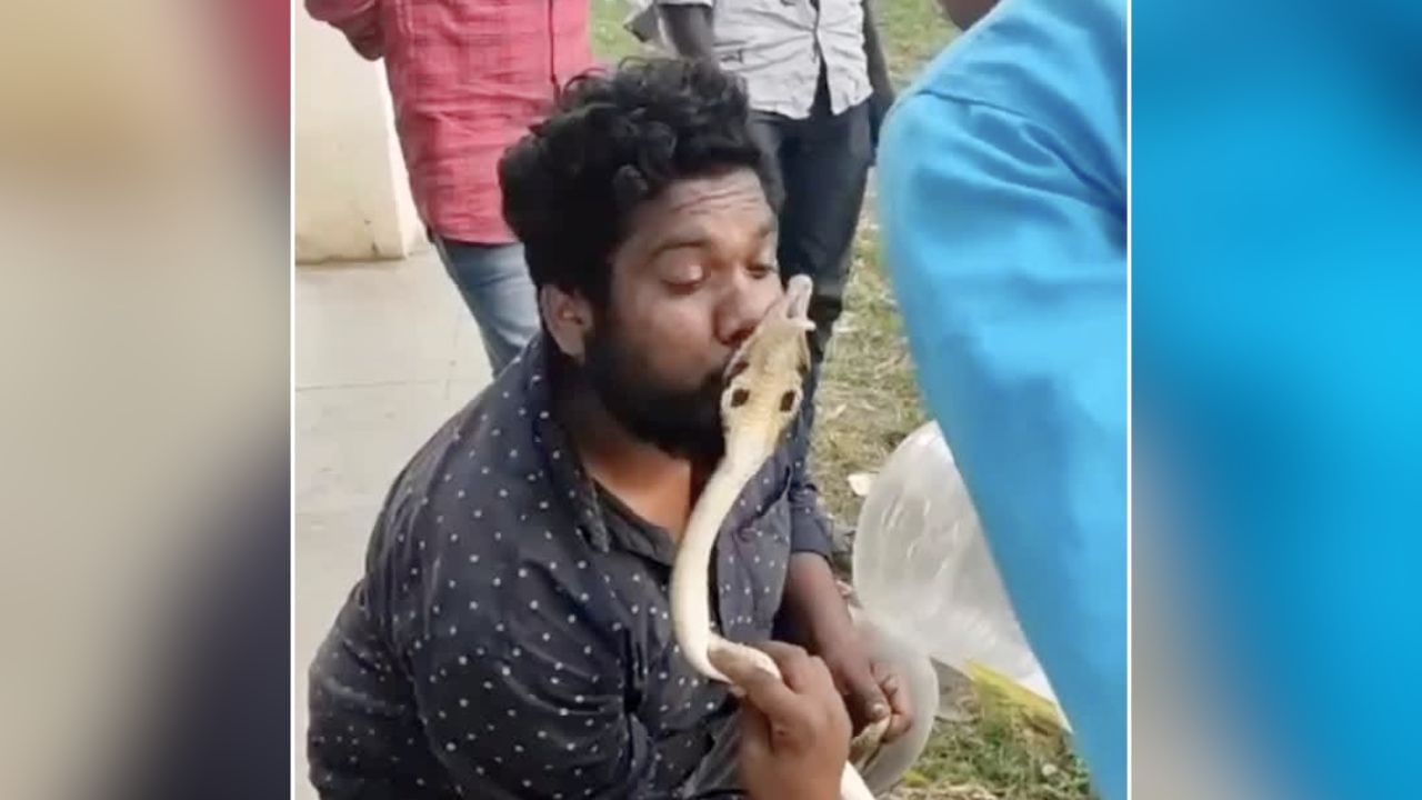 Watch: నాగుపాముతోనే పరాచకం.. హద్దు మీరి ముద్దు పెట్టి..!