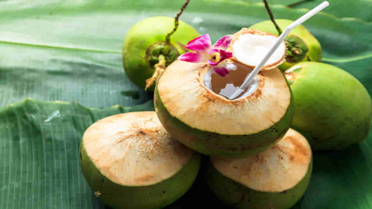 Coconut Buying Tips: ఎక్కువ నీళ్లున్న కొబ్బరిబోండం కావాలా.. కొనేటప్పుడు ఈ 5 టిప్స్ గుర్తుపెట్టుకోండి