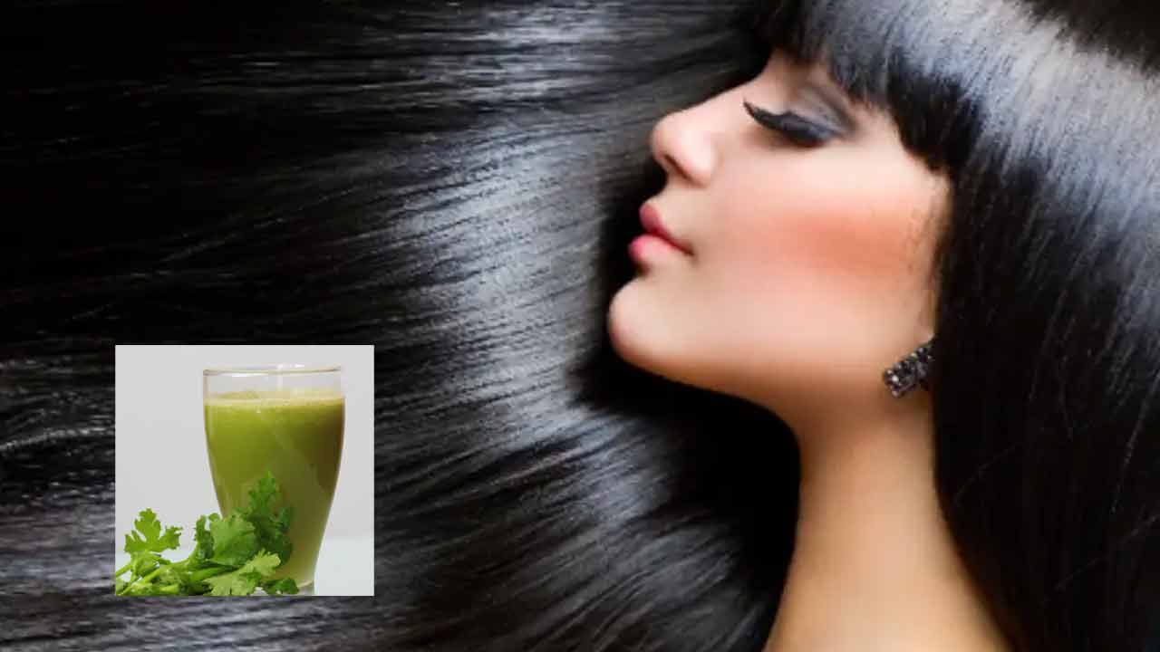 కొత్తిమీర రసాన్ని తలకు పట్టించడం వల్ల జుట్టు పెరుగుదలను ప్రేరిపిస్తుంది. జుట్టు రాలడాన్ని కూడా నివారిస్తుంది. ఇది మంచి జుట్టు పెరుగుదలకు దోహదపడే సహజమైన, ముఖ్యమైన పోషకాలతో నిండివుంటుంది. మీ జుట్టు బలంగా, పొడవుగా ఉండటానికి కొత్తిమీర నీటిని మీ తలకు అప్లై చేసి ఒక గంటపాటు అలాగే వదిలేయాలి. తరువాత తేలికపాటి షాంపూతో కడిగేసుకోవాలి. 