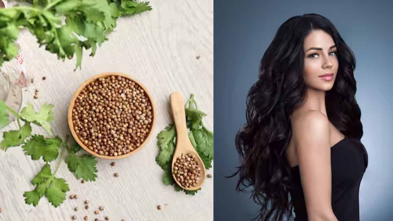 కొత్తిమీర ఆకులతో హెయిర్ మాస్క్ కూడా తయారు చేయొచ్చు. ఇందుకోసం కొత్తిమీర ఆకులను శుభ్రంగా కడిగి మెత్తగా పేస్ట్ చేసుకోవాలి. అందులో కావాల్సినంత అలోవెరాను కూడా యాడ్‌ చేసుకోవాలి. ఇప్పుడు ఈ మిశ్రమాన్ని జుట్టుకు పట్టించి 20 నిమిషాల పాటు అలాగే వదిలేయాలి.. ఆ తర్వాత జుట్టును సాధారణ నీటితో, గాఢత తక్కువగా ఉన్న షాంపూతో తలను శుభ్రం చేసుకోవాలి. ఇలా తరుచుగా చేయడం వల్ల జుట్టు రాలడం తగ్గుతుంది.