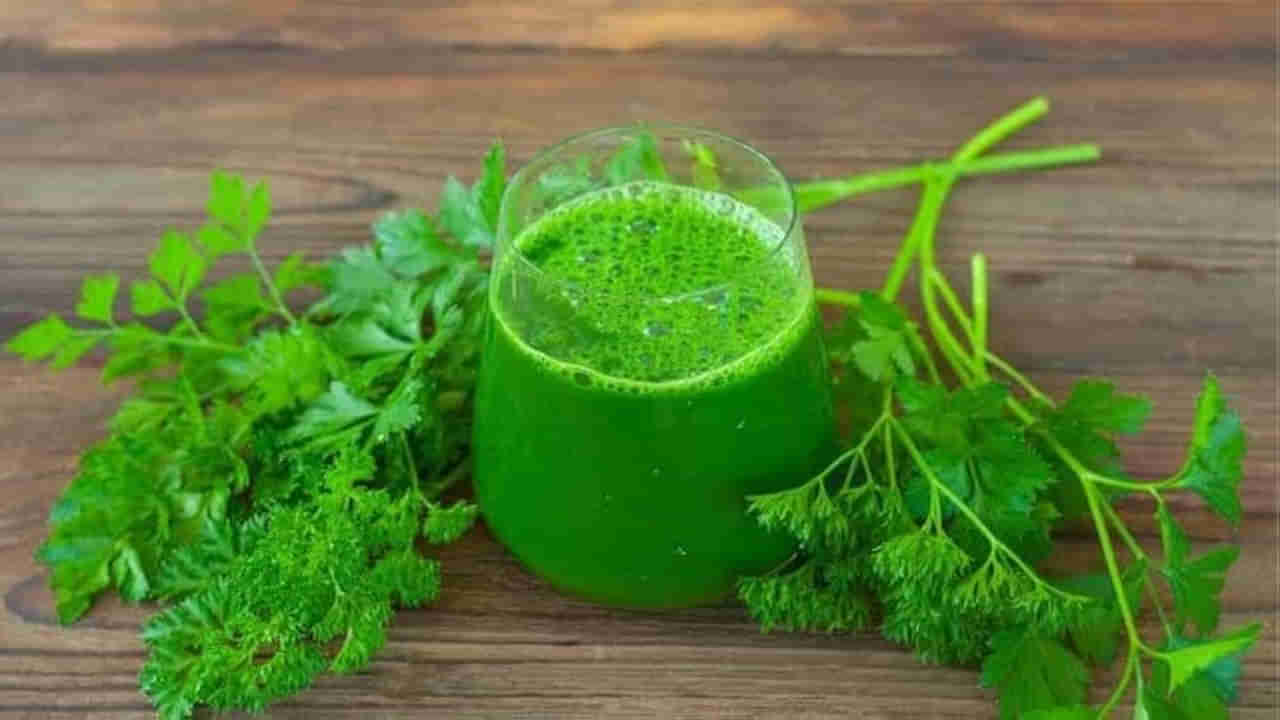 Coriander Juice: ఈ వ్యాధులున్నవారికి కొత్తిమీర రసం అమృతంతో సమానం.. ఖాళీ కడుపుతో తాగితే ఎన్ని బెనిఫిట్సో