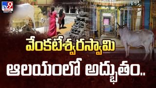 వరమాల కోసం వేచి ఉన్న వరుడు.. ఒక్కసారిగా కుప్పకూలిన..