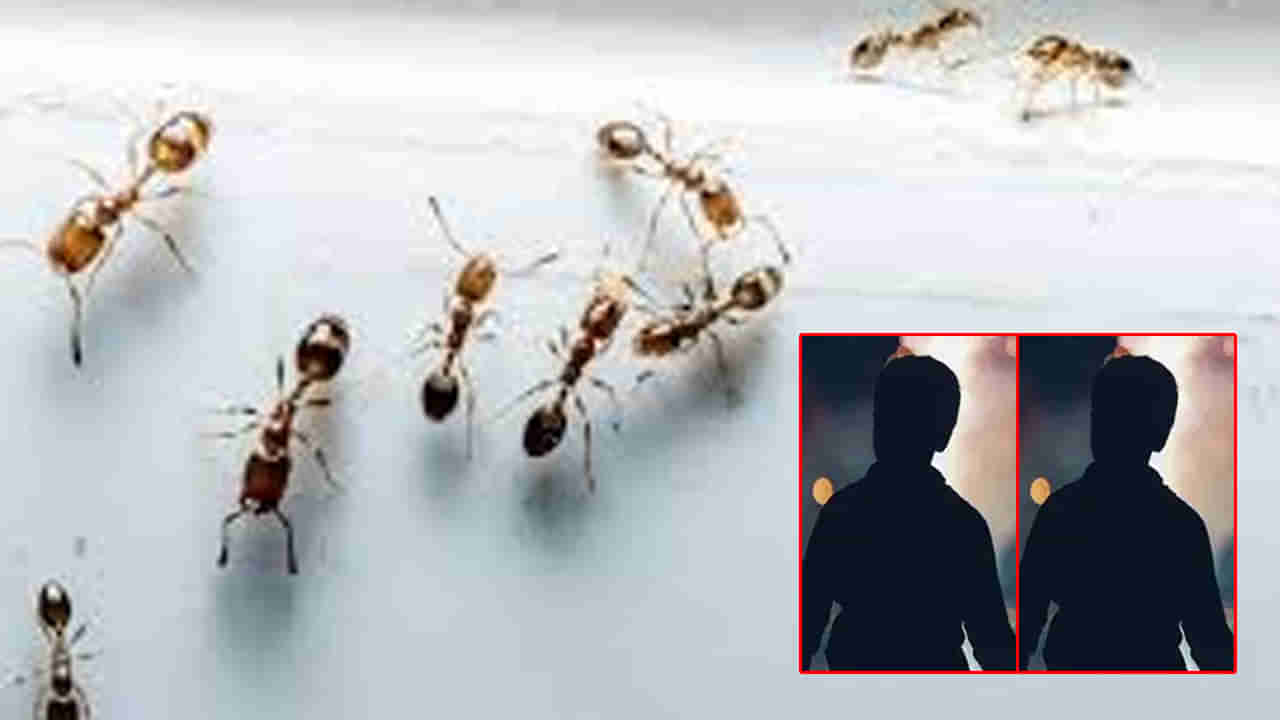 మనుషులా రక్షసులా..! ఇద్దరు బాలలను చెట్టుకు కట్టేసి.. ఎర్ర చీమలతో.. దారుణాతి దారుణంగా..