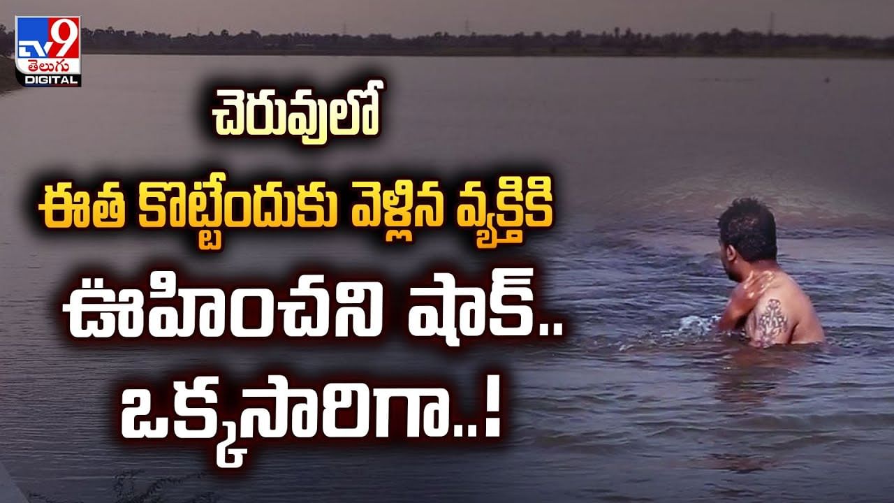 చెరువులో ఈత కొట్టేందుకు వెళ్లిన వ్యక్తికి ఊహించని షాక్‌.. ఒక్కసారిగా