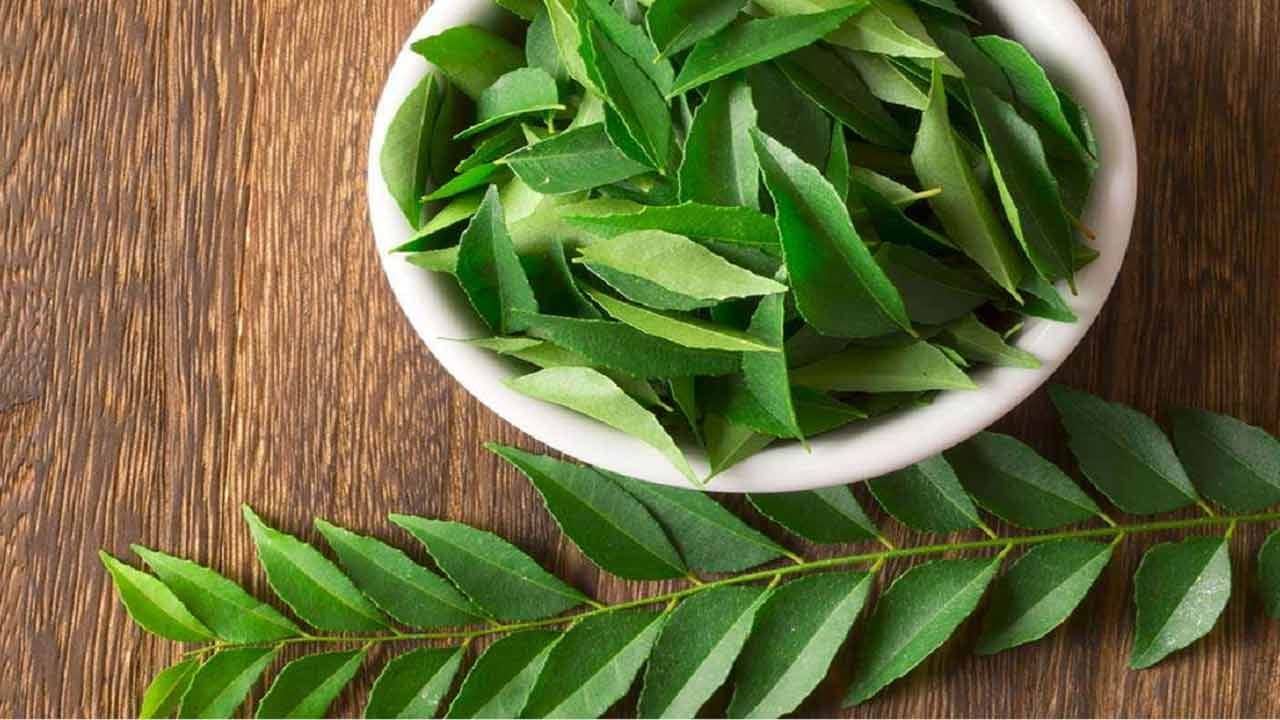 షుగర్ ని కంట్రోల్ చేయడానికి సహాయపడే ఆహారాల్లో కరివేపాకు ఒకటి. కరివేపాకులో ఆల్కలాయిడ్స్, ఫ్లేవనాయిడ్స్ వంటి సమ్మేళనాలు ఉన్నాయి. ఇది రక్తంలో చక్కెర స్థాయిని తగ్గిస్తాయి. 
ఈ సమ్మేళనాలు ఇన్సులిన్ సెన్సిటివిటీని మెరుగుపరచడానికి, చక్కెర స్థాయిని నియంత్రించడానికి సహాయపడతాయి.