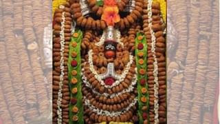 ఇంట్లో నిమ్మ చెట్టు పెంచుకోవచ్చా..? నిపుణులు ఏం చెబుతున్నారో తెలుసా..?