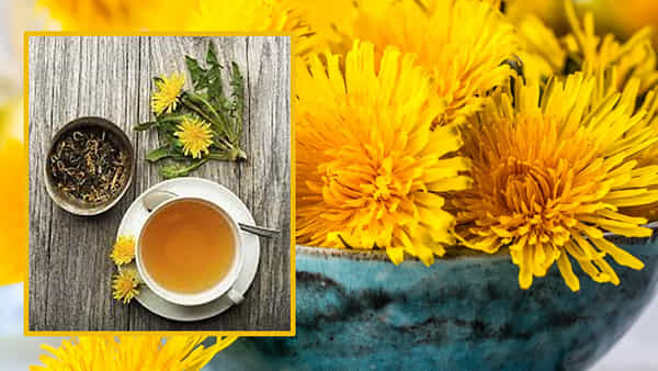 Dandelion Tea: టీకి బదులుగా డాండెలైన్ హెర్బల్ టీని చేర్చుకోండి.. ఎన్ని ఆరోగ్య ప్రయోజనాలో తెలుసా..
