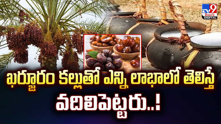 ఖర్జూరం కల్లుతో ఎన్ని లాభాలో తెలిస్తే వదిలిపెట్టరు..! ఖర్జూరం కల్లుతో ఎన్ని లాభాలో తెలిస్తే వదిలిపెట్టరు..!