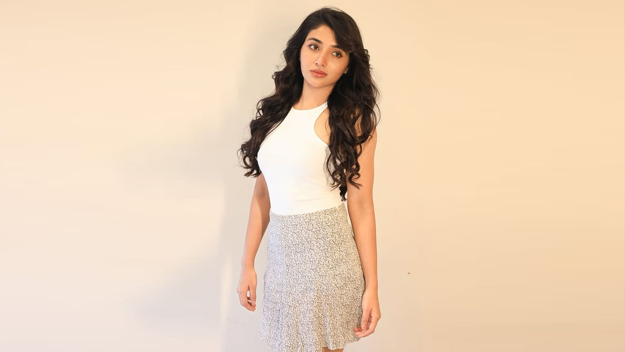 15 డిసెంబర్ 1992న కేరళ రాష్ట్రంలోని ప్రముఖ పర్యాటక ప్రదేశం ఇడుక్కి జన్మించింది అందాల భామ మిర్న మీనన్. ఈ వయ్యారికి సయన సంతోష్, అదితి మీనన్ అనే మరో రెండు పేరు కూడా ఉన్నాయి. మొదటి రెండు సినిమాల్లో అదితి మీనన్ అనే ఉంటుంది.