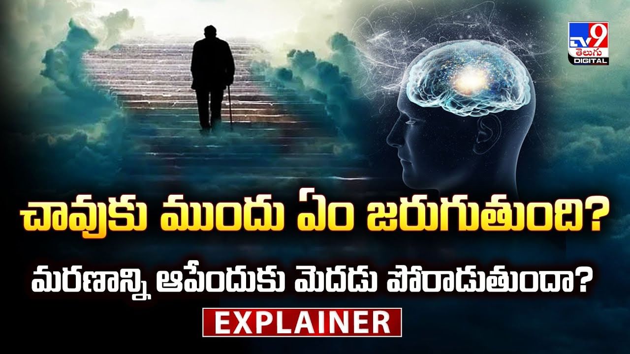 చావుకు ముందు ఏం జరుగుతుంది ?? మరణాన్ని ఆపేందుకు మెదడు పోరాడుతుందా ??