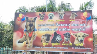 ఇదేం పైత్యం.. అసలు తెలివి బోధపడేసరికి .. ఐదుగురితో పెళ్లి.. 11 మంది పిల్లలు!