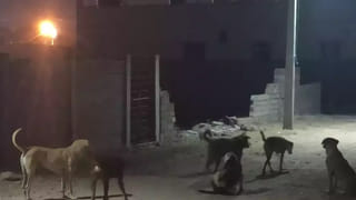 Andhra News: అయ్యో దేవుడా..! ఆడుకుంటూ బయటకు వెళ్లిన ముగ్గురు చిన్నారులు.. చివరకు..