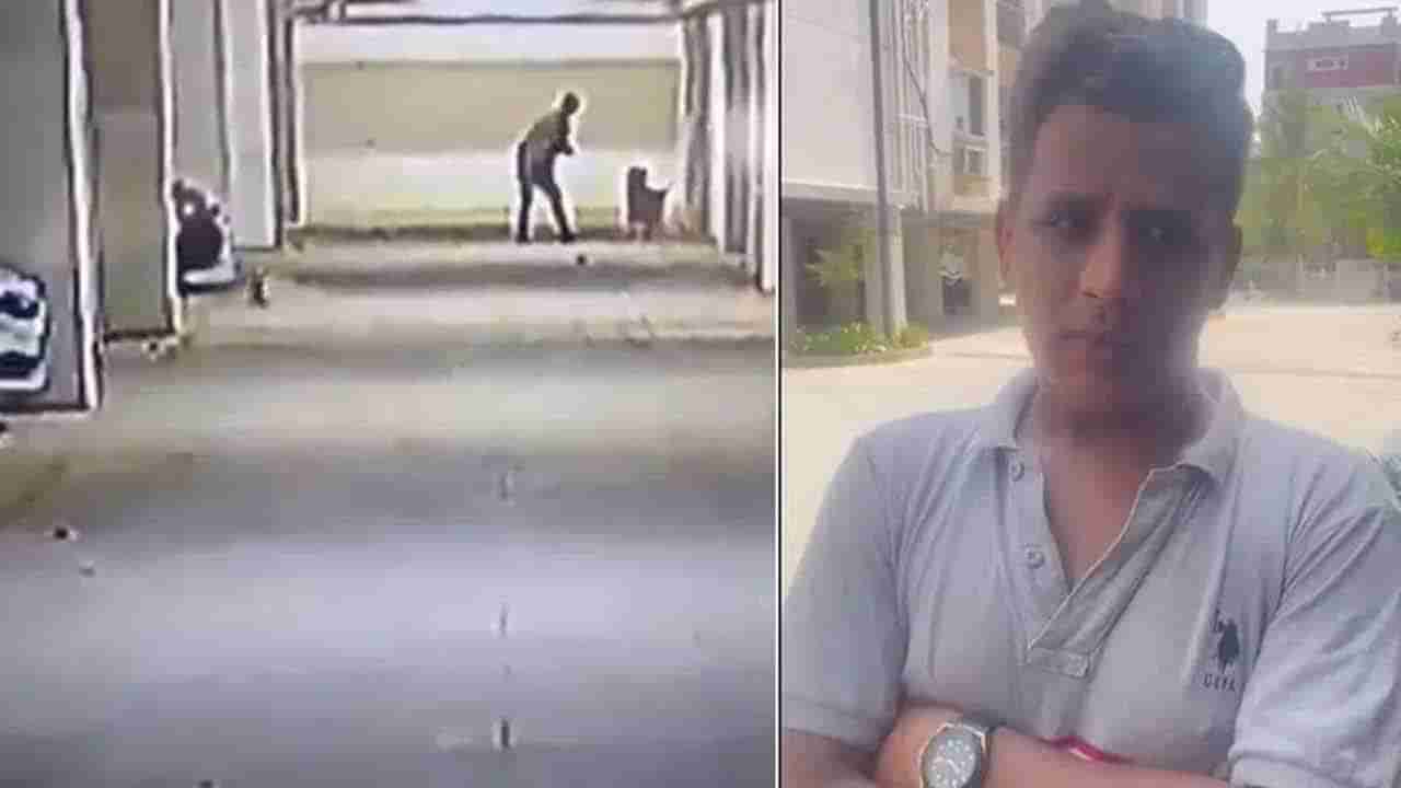 Hyderabad: ఉన్మాదిలా మారిన వ్యక్తి.. కుక్కపిల్లలపై పైశాచికత్వం..సీసీ కెమెరాలో షాకింగ్ దృశ్యాలు..