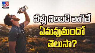 Summer Weight Loss Diet: వేసవిలో ఈ పండ్లు తింటే చాలు.. బరువు తగ్గుతారు
