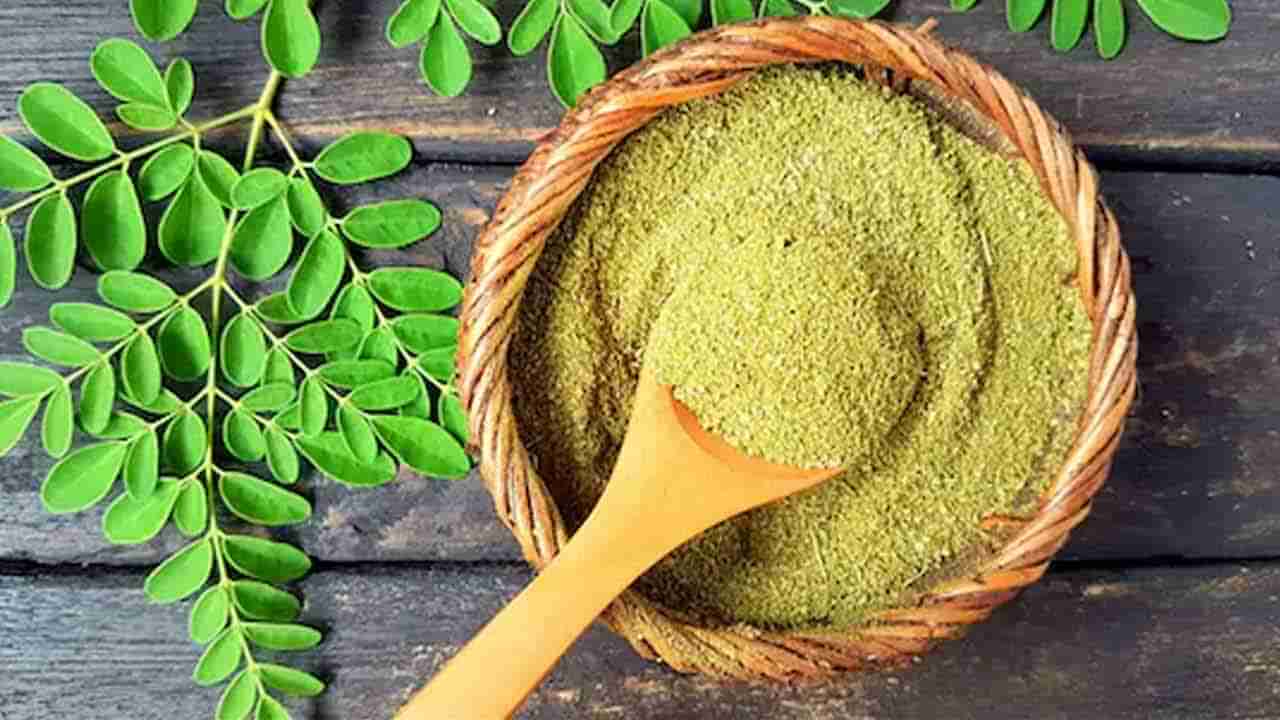 మునగ ఆకులతో ఇంత మ్యాజిక్‌ ఉందా..? అస్సలు మిస్‌ కావొద్దు..!