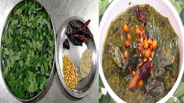 Drumstick Leaves Chutney: రుచికరమైన మునగాకు పచ్చడిని ఇలా చేసుకోండి.. వారానికి రెండు సార్లు తినడం ఆరోగ్యకరం..