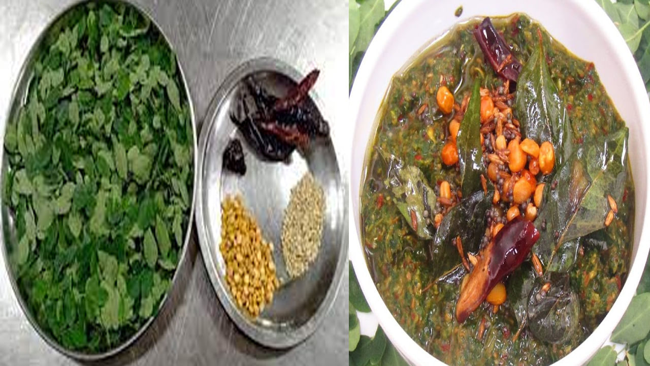 Drumstick Leaves Chutney: రుచికరమైన మునగాకు పచ్చడిని ఇలా చేసుకోండి.. వారానికి రెండు సార్లు తినడం ఆరోగ్యకరం..
