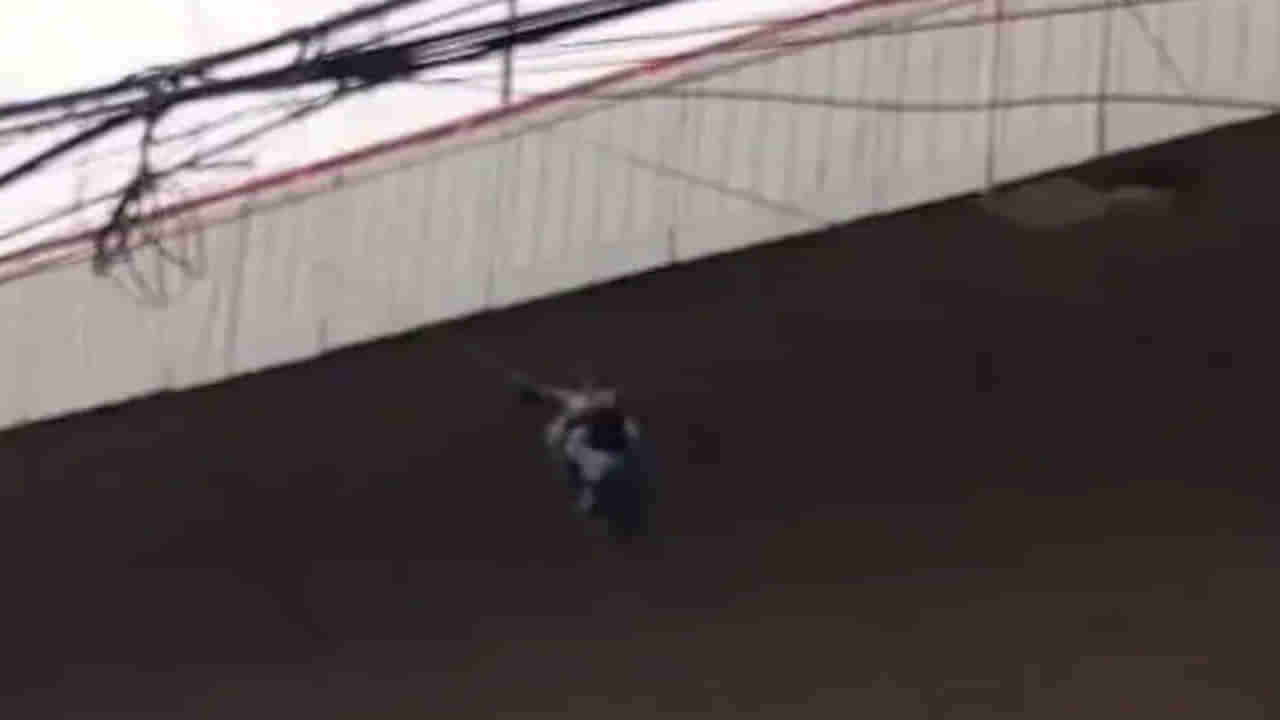 Viral Video: పీవీ ఎక్స్‌ప్రెస్‌ హైవేపై నుంచి దూకిన తాగుబోతు... మధ్యలో వైరు తట్టుకోవడంతో.. చివరికి