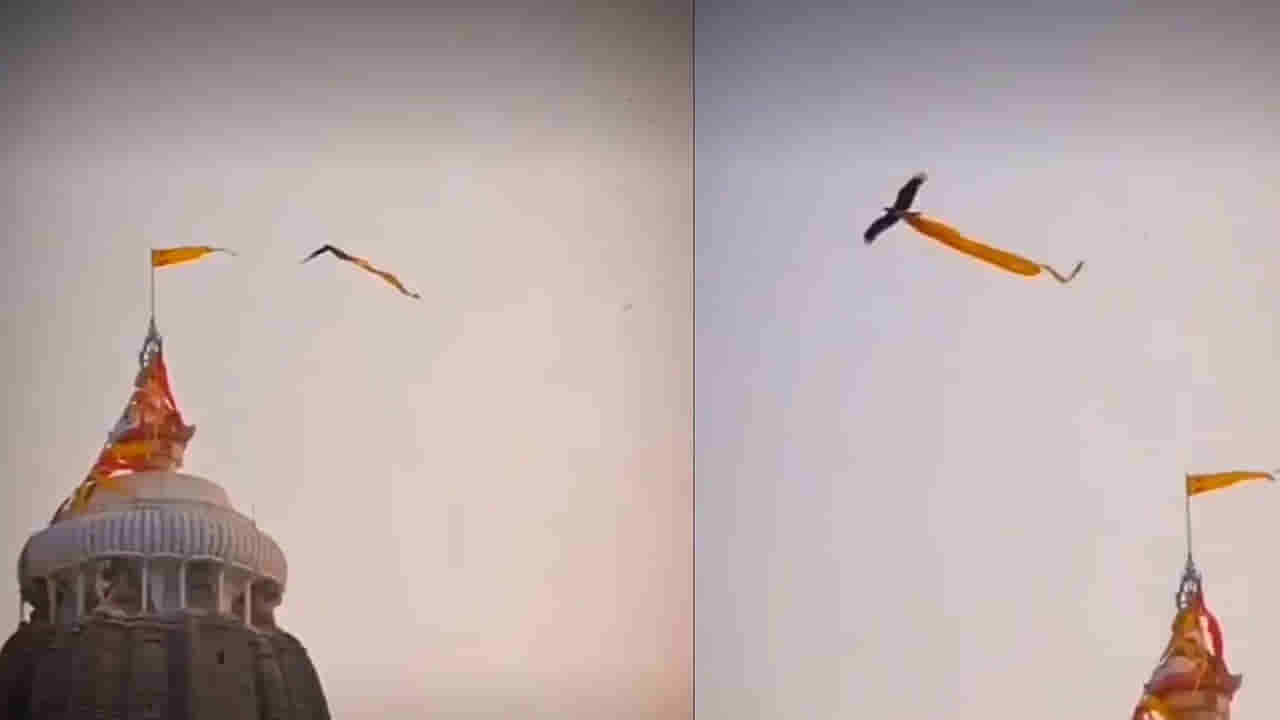 Viral Video: నిజంగా గరుత్మంతుడే వచ్చి వెళ్లాడా?... పూరి జగన్నాథ్‌ టెంపుల్‌ మీద అద్భుత దృశ్యం...