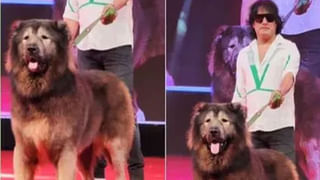 Tesla: ముంబై-పూణె హైవేపై టెస్లా కారు చక్కర్లు.. ఇండియాలో లాంచింగ్‌ ఎప్పుడో తెలుసా!