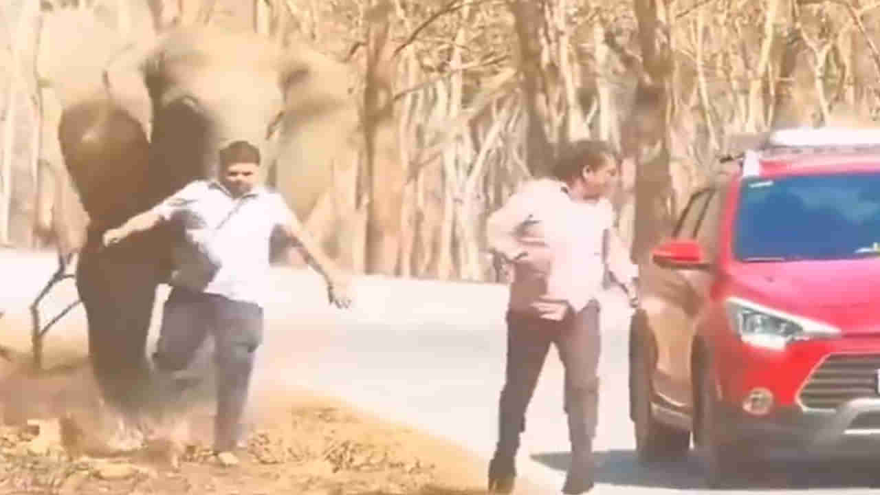 Viral Video: బతుకు జీవుడా..! ఎట్టకేలకు ఏనుగు నుంచి తప్పించుకొని ఎలా బయటపడ్డాడో చూస్తే...