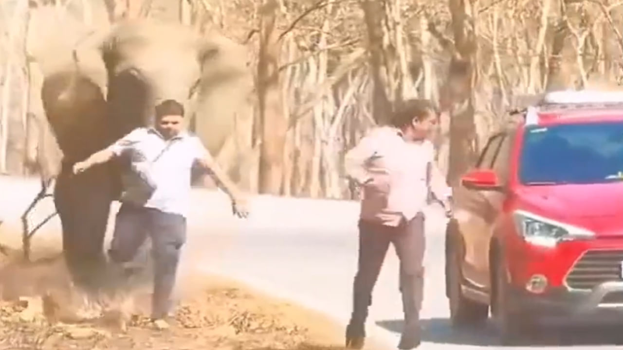 Viral Video: బతుకు జీవుడా..! ఎట్టకేలకు ఏనుగు నుంచి తప్పించుకొని ఎలా బయటపడ్డాడో చూస్తే...