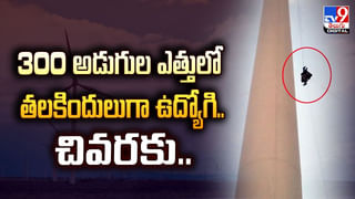 ఈత కొడుతున్న గబ్బిలం.. వీడియో చూసి షాకవుతున్న నెటిజన్లు