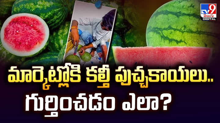 మార్కెట్లోకి కల్తీ పుచ్చకాయలు.. గుర్తించడం ఎలా? మార్కెట్లోకి కల్తీ పుచ్చకాయలు.. గుర్తించడం ఎలా?