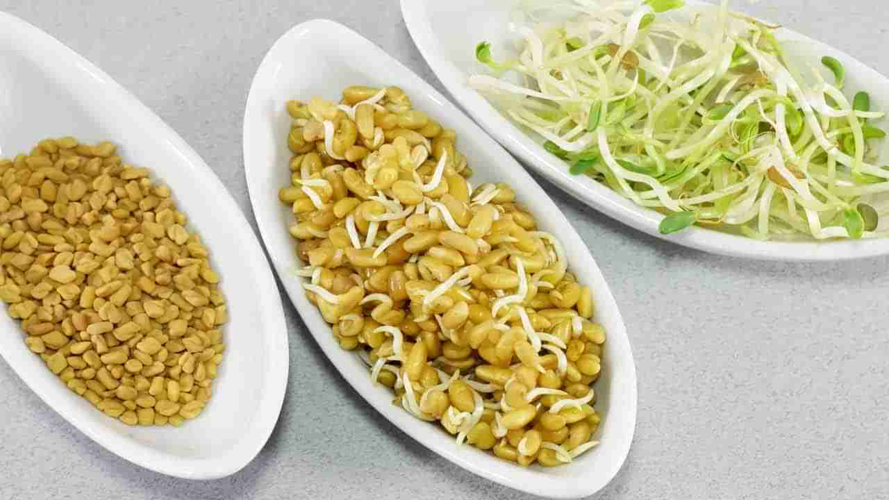 Sprouted Fenugreek: ఉదయాన్నే మొలకెత్తిన మెంతులు తింటే.. మీరు కలలో కూడా ఊహించని ప్రయోజనాలు!