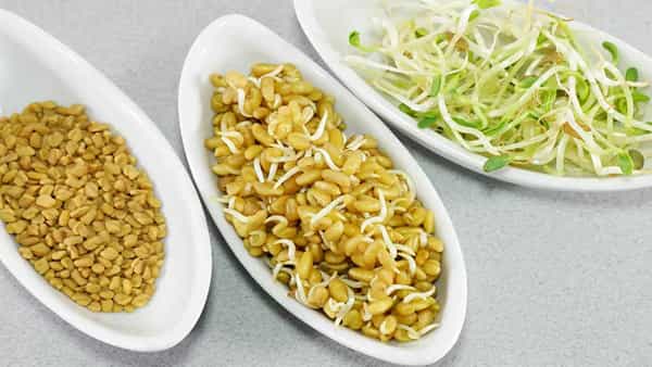 Sprouted Fenugreek: ఉదయాన్నే మొలకెత్తిన మెంతులు తింటే.. మీరు కలలో కూడా ఊహించని ప్రయోజనాలు!