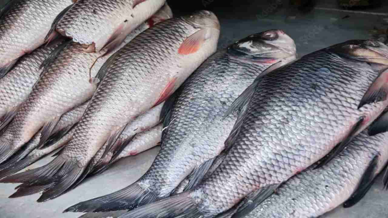 చేపలు కొనేటప్పుడు తాజా చేపలను గుర్తించలేకపోతున్నారా..? ఈ టిప్స్ తో జాగ్రత్త పడండి..!