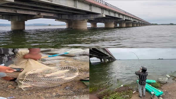 Telangana: మిడ్ మానేరులో వల వేసిన జాలరి.. పైకి లాగి చూడగా.. అమ్మ బాబోయ్..