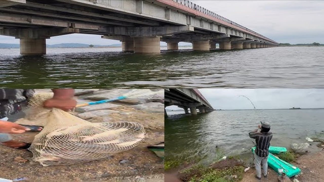 Telangana: మిడ్ మానేరులో వల వేసిన జాలరి.. పైకి లాగి చూడగా.. అమ్మ బాబోయ్..