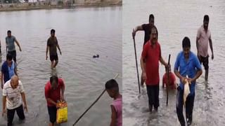 Viral Video: ఏతులకు రూ.50 కోట్ల కుక్క అని ప్రచారం… అసలు కథేందో తేల్చిన ఈడీ!