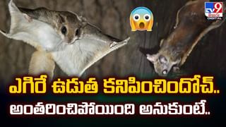 మీరు మెనోపాజ్ స్టేజ్‌లో ఉన్నారా.. ఇది మీ కోసమే!