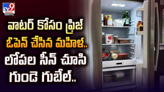 శవపేటిక నుంచి వింత శబ్ధాలు.. ఖననం చేస్తుండగా షాక్ వీడియో