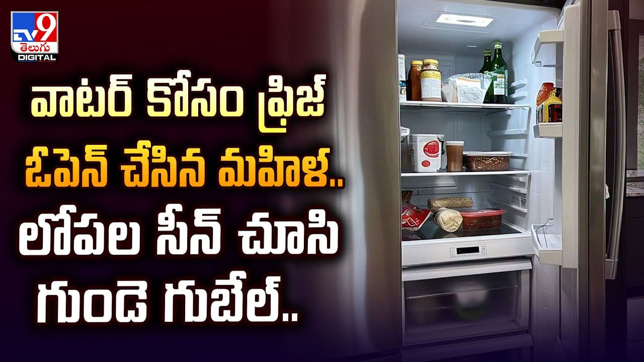 వాటర్‌ కోసం ఫ్రిజ్‌ ఓపెన్ చేసిన మహిళ.. లోపల సీన్ చూసి గుండె గుబేల్‌..