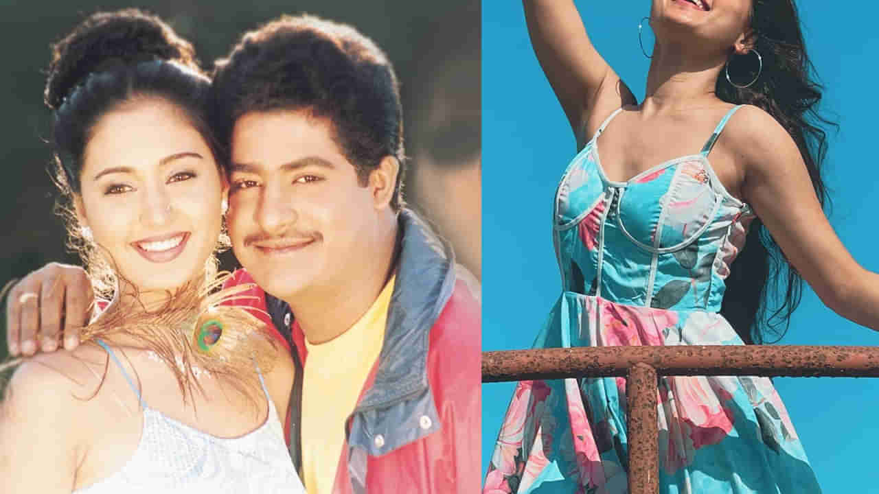 Jr.NTR: ఎన్టీఆర్తో సూపర్ హిట్ సినిమా.. ఇండస్ట్రీలోకి వచ్చిన ఏడాదికే ఆత్మహత్యాయత్నం.. ఇప్పుడేం చేస్తుందంటే..