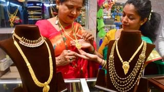 Indian Railways: రైల్వే ప్రయాణికులకు అలెర్ట్‌! ఈ రైళ్లు రద్దు.. ఒక ప్రత్యేక రైలు ఏర్పాటు!