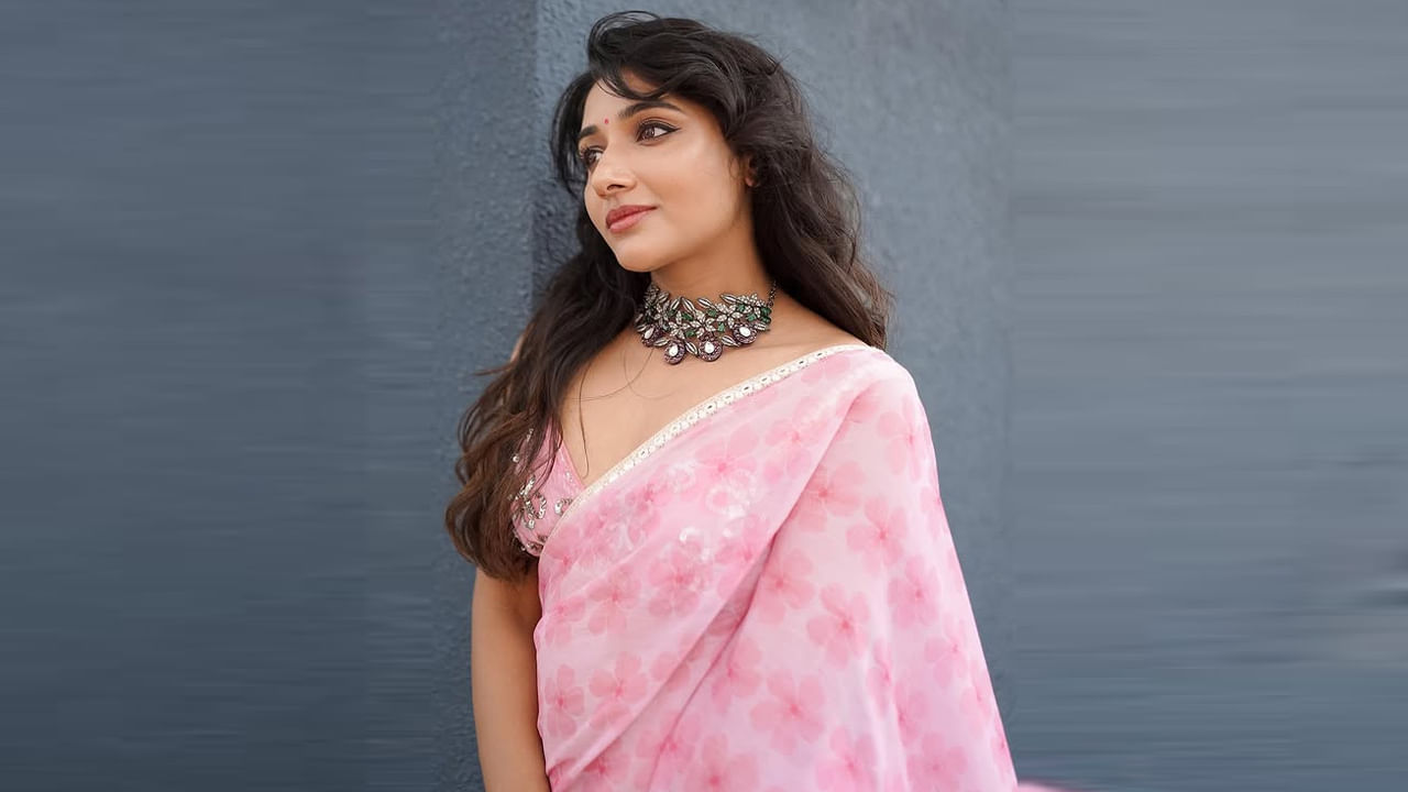 15 డిసెంబర్ 1992న కేరళ రాష్ట్రంలోని ప్రముఖ పర్యాటక ప్రదేశం ఇడుక్కి జన్మించింది అందాల భామ మిర్న మీనన్. ఈ వయ్యారికి సయన సంతోష్, అదితి మీనన్ అనే మరో రెండు పేరు కూడా ఉన్నాయి. మొదటి రెండు సినిమాల్లో అదితి మీనన్ అనే ఉంటుంది.