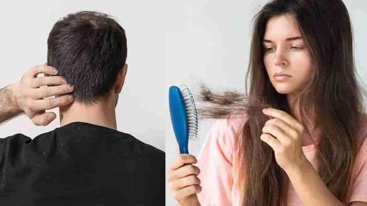 వామ్మో.. జుట్టు ఎక్కువగా రాలుతోందా.. అయితే, శరీరంలో ఆ పార్ట్ డ్యామేజ్ అయ్యినట్టే..