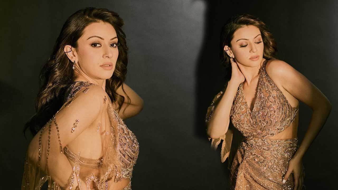 అందాల ముద్దుగుమ్మ హన్సిక గురించి ఎంత చెప్పినా తక్కువే. అందం, అభినయం ఈ బ్యూటీ సొంతం. ఒకప్పుడు వరస సినిమాలతో యూత్ ను మాయ చేసింది ఈ చిన్నది. చైల్డ్ ఆర్టిస్ట్ గా ఎంట్రీ ఇచ్చి పలు సినిమాల్లో నటించి అందరిచేత మన్ననలు పొందింది.