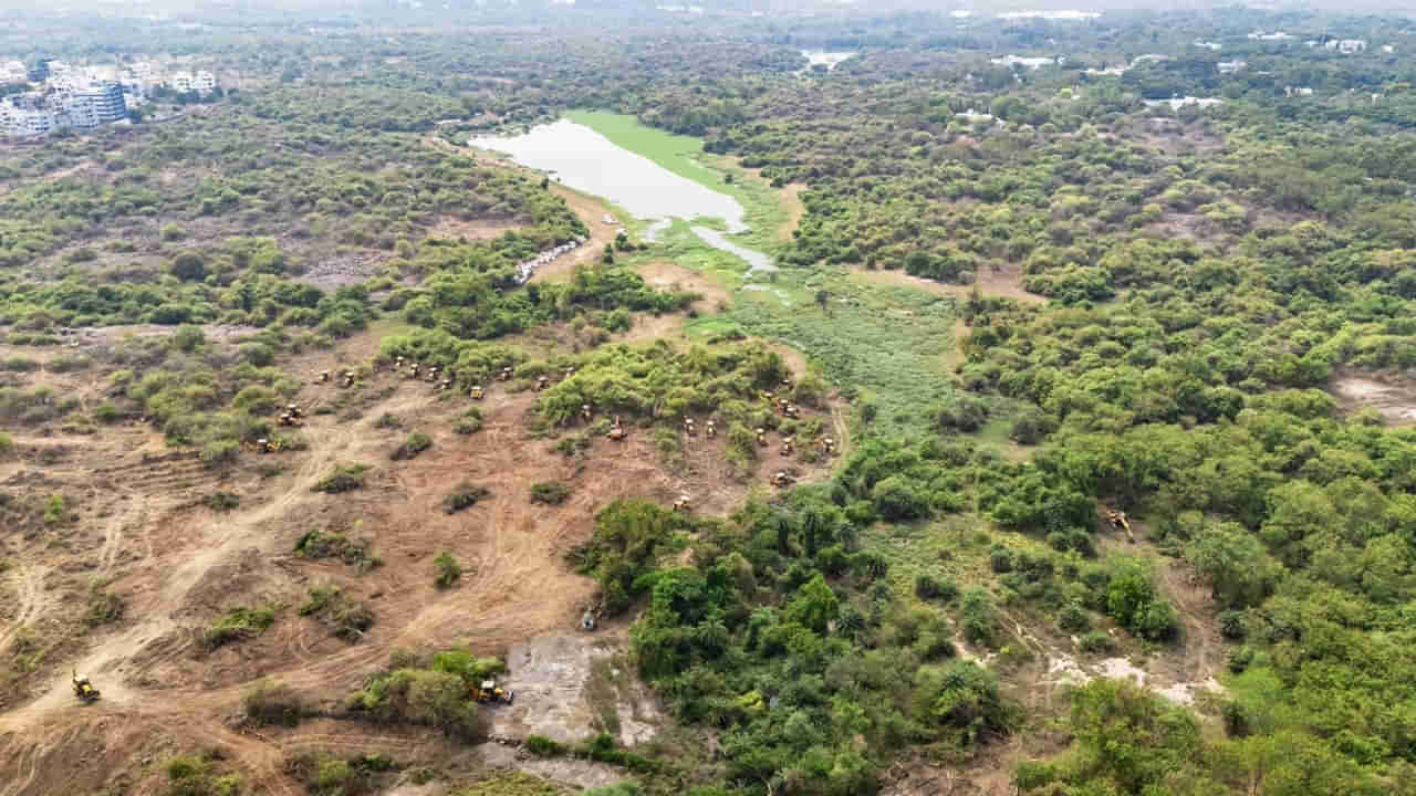 HCU Land Row: కంచ గచ్చిబౌలి భూముల వివాదంపై స్పందించిన కేంద్రం.. తెలంగాణ ప్రభుత్వానికి లేఖ..