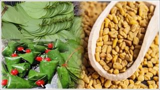 ముక్కు మీద వైట్ హెడ్స్‌తో ఇబ్బంది పడుతున్నారా..? ఈ టిప్స్‌ ట్రై చేయండి..10నిమిషాల్లో మటుమాయం!