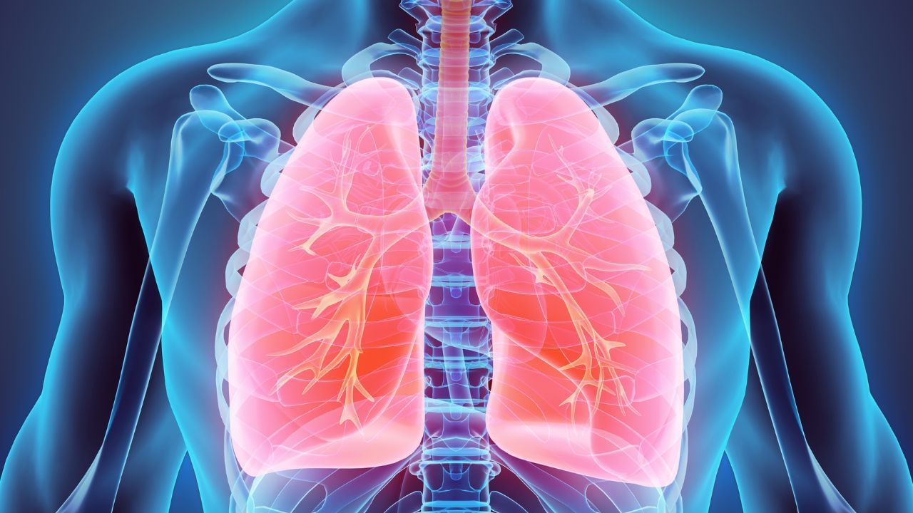 Lung Health: ఊపిరితిత్తుల ఆరోగ్యాన్ని కాపాడుకోవడానికి ఇలా చేయండి..!