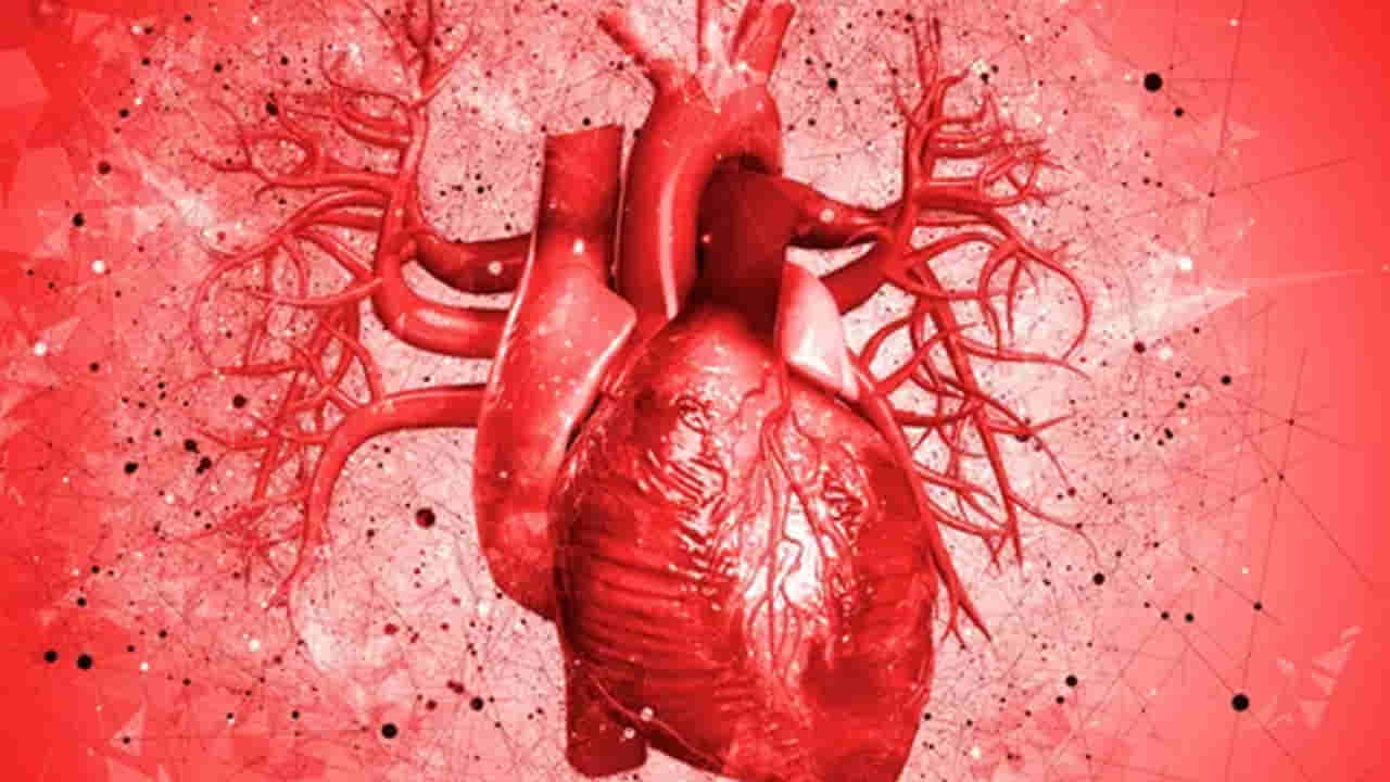 Heart Attacks: గుండెకు గండం.. ఈ చిట్టి హృదయానికి ఏమైంది...?