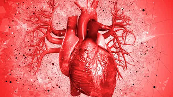 Heart Attacks: గుండెకు గండం.. ఈ చిట్టి హృదయానికి ఏమైంది...?