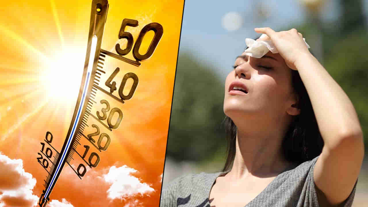 Heatwave: వడదెబ్బతో ఇంత డేంజరా.. ఈ వ్యాధులున్నవారు ఎండలోకి వెళితే అంతే సంగతులు!
