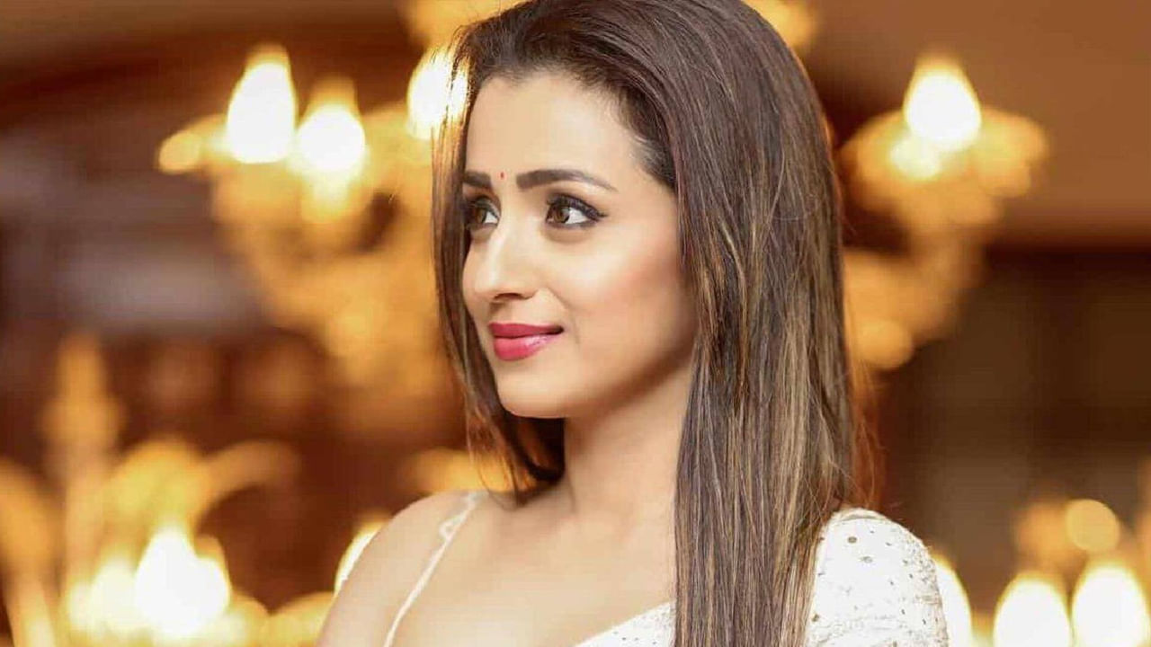 సీనియర్ బ్యూటీ, అందాల ముద్దుగుమ్మ త్రిష గురించి ఎంత చెప్పినా తక్కువే. అప్పటికీ ఇప్పటికీ వన్నె తగ్గని అందంతో, తన నటనతో అందరి మనసు దోచేసింది ఈ బ్యూటీ. ఇక త్రిషకు చాలానే ముద్దు పేర్లు ఉన్నాయంట. అందులో కొందరు ట్రాష్ అనిపిలిస్తే మరికొందరు హనీ ట్రిష్ అని పిలుస్తుంటారంట.