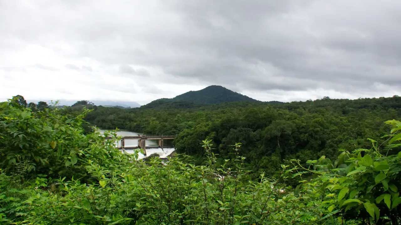 తేన్మల కేరళ : భారతదేశంలో పచ్చని అడవులు, తాడు వంతెలనలు, బూటింగ్, సీతాకోక చిలుకల పార్క్ , జింకల పార్క్, చెట్టుపై గుడిసెల నుంచి సంగీత ఫౌంటెన్లు ఇలా ఎన్నో ఉన్న తేన్మల హిల్ స్టేషన్ పర్యాటకులను ఆకర్షిస్తుంటుంది. చూడటానికి చాలా అందంగా ఉంటుందంట.